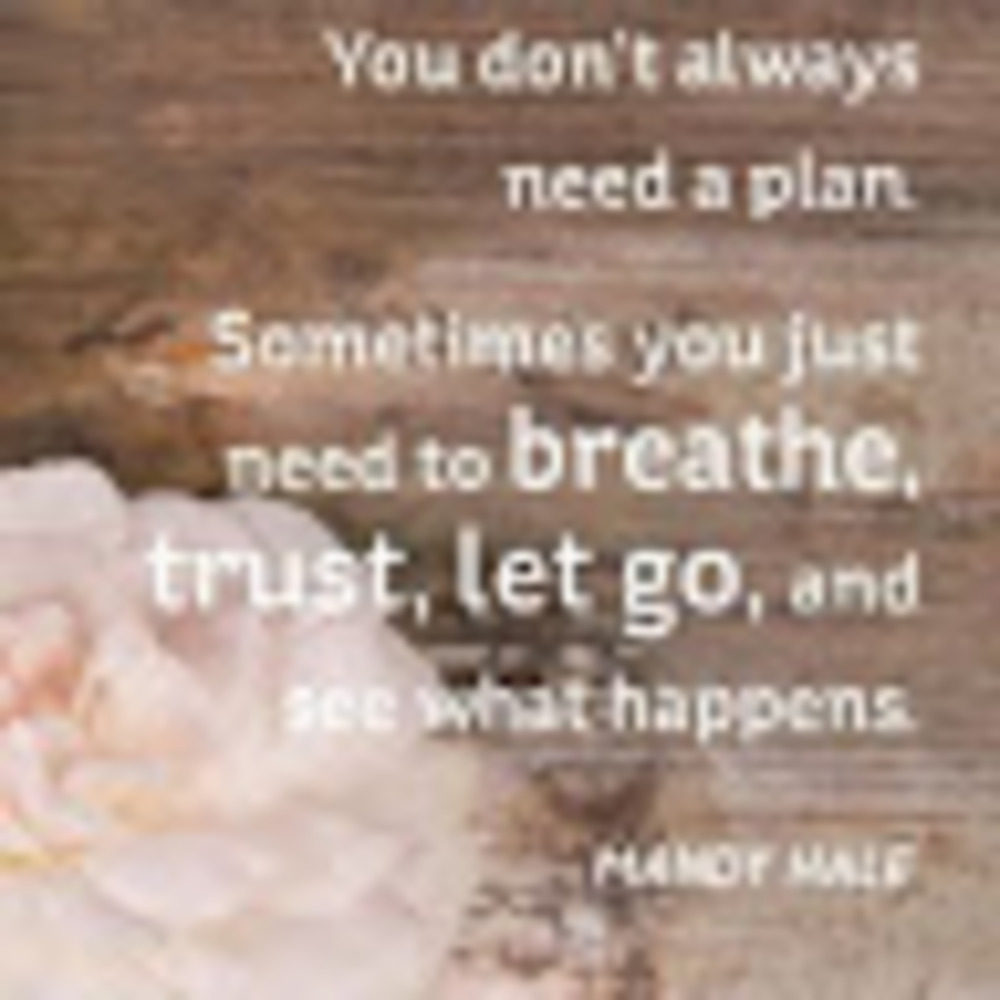 Meet your Posher, Carmen